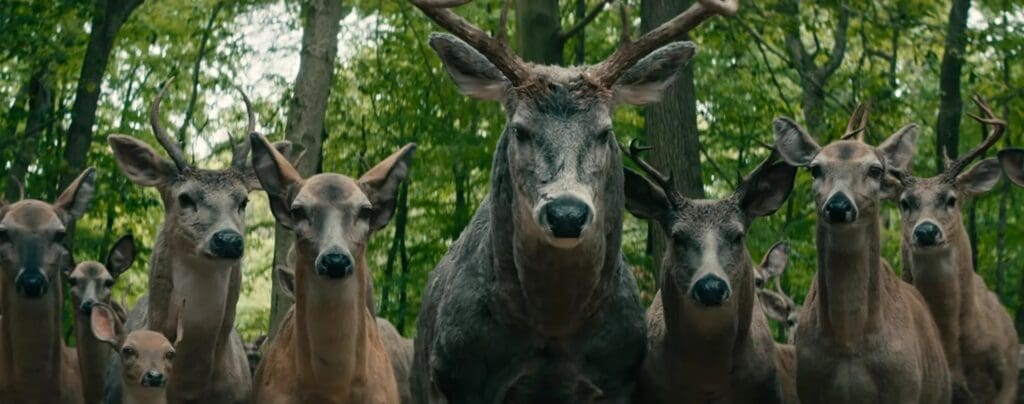 Attack of the Deer. Screenshot Leave The World Behind