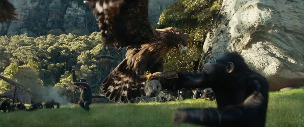 An ape trains an eagle to hunt in 'Kingdom of the Planet of the Apes'
